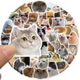 Chailin 50 Pieces Of Popular Cat Expressions Sticker Decals For Luggage