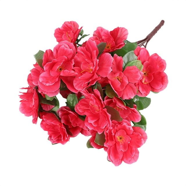 Chailin Azaleas Flower Decoration Flower Bed Horticultural Layout