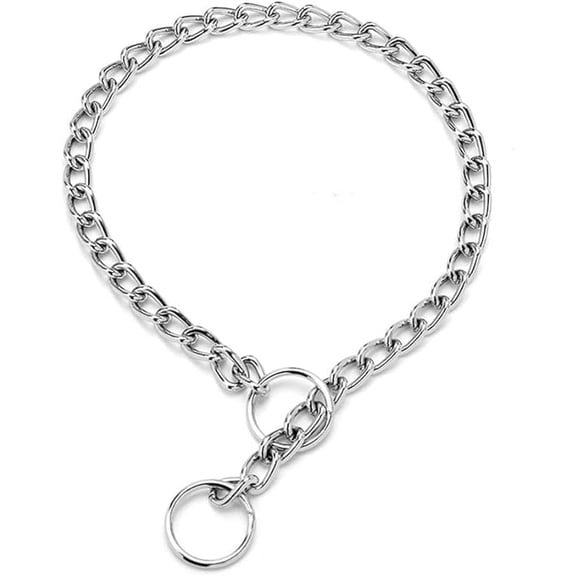 Chain Collar for Dogs, Metal Slip Link Training Heavy Duty Dog Collar Martingale Puppy Collars for XXS XS Small Medium Large Big XL Breed Dogs, Silver (Silver, S(Neck Max 16inch) D2.5mm)