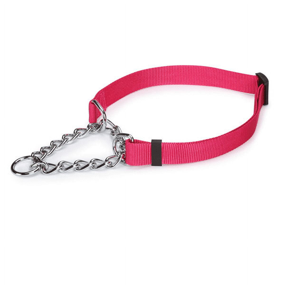 Chain Martingale Dog Collar Choke Style Safety Control Training Pick Color Size Raspberry 22 34 Walmart