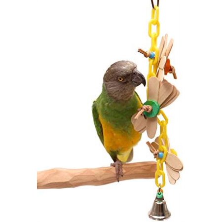 Chain - Small Popsicle Parrot Toy