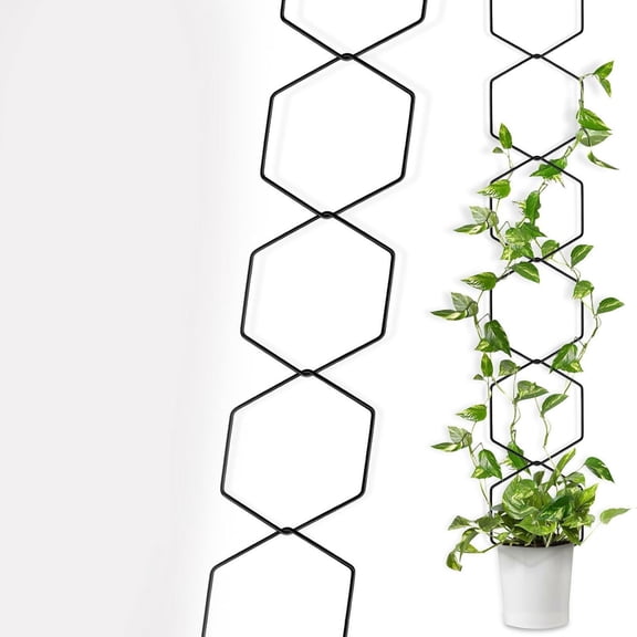 Chain Trellis,Plant Trellis,Wall Trellis,Plant Trellis Indoor,Climbing Frame,Flower Frame,Hexagonal Iron Flower Frame,Mountain Turtle Climbing Frame(18Rings/Set Black 90*5in)from QiwagFerng