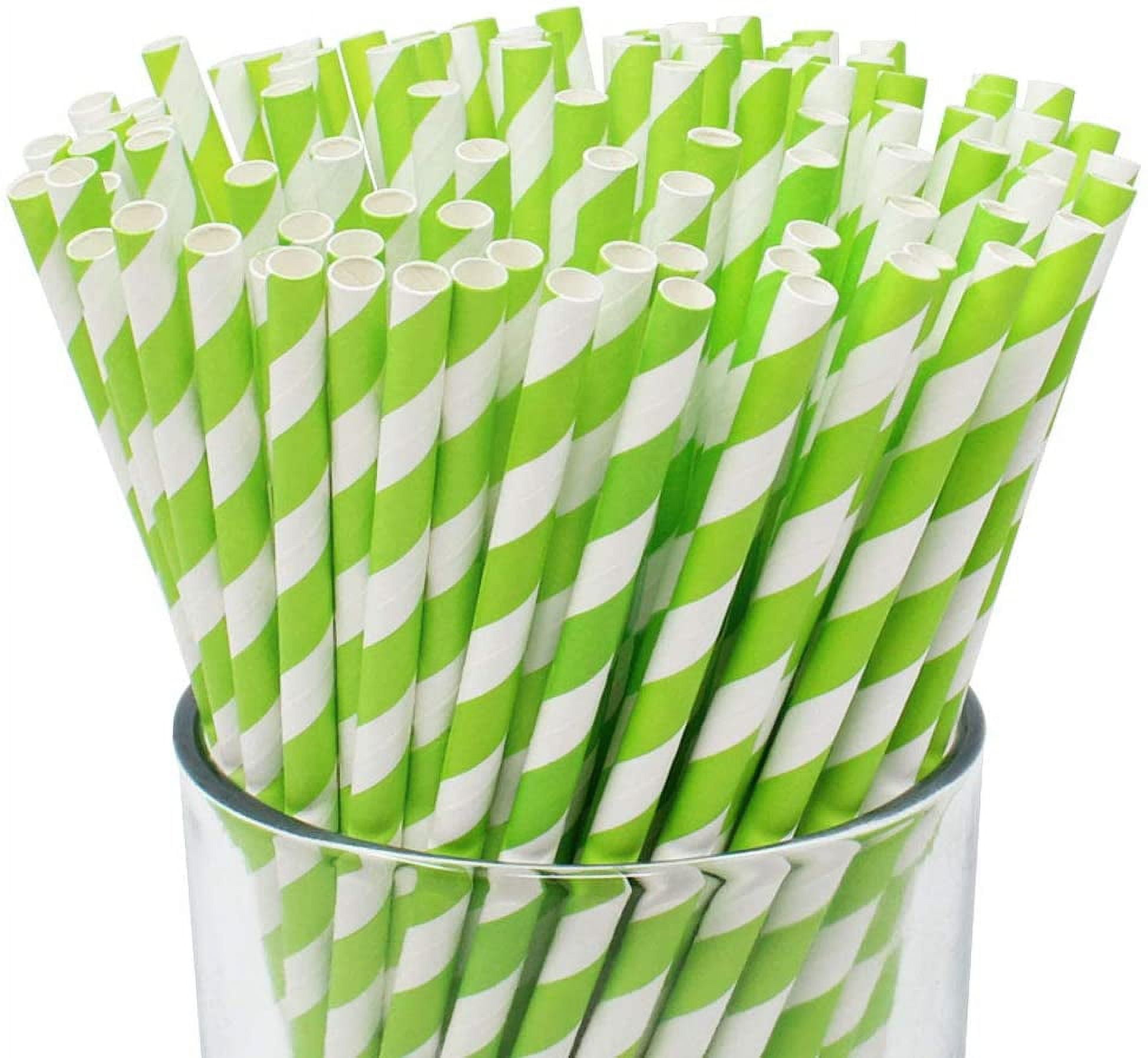 10 Notebook/Lined Paper Straws – Happyfox Supply Co