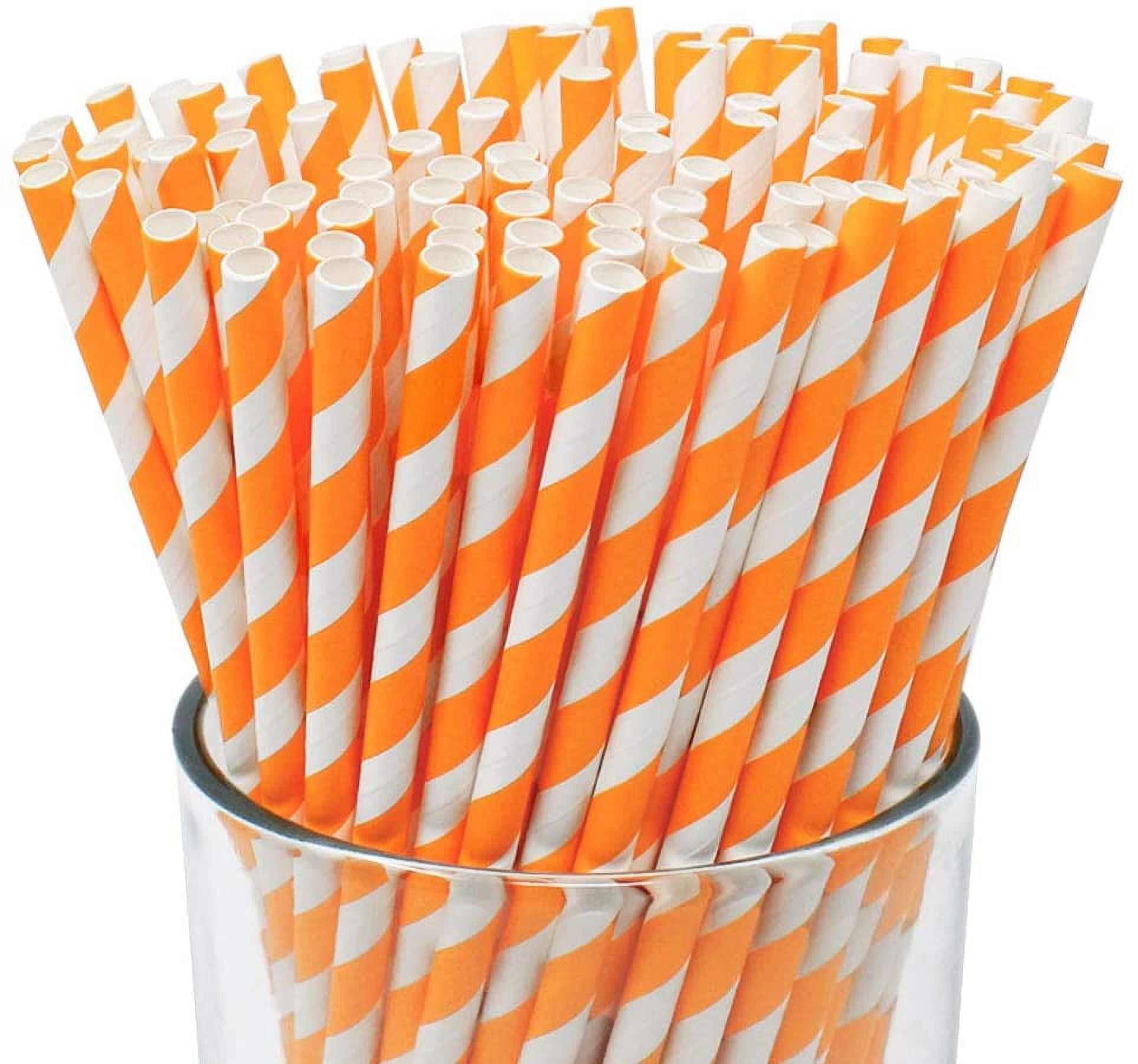 10 Notebook/Lined Paper Straws – Happyfox Supply Co