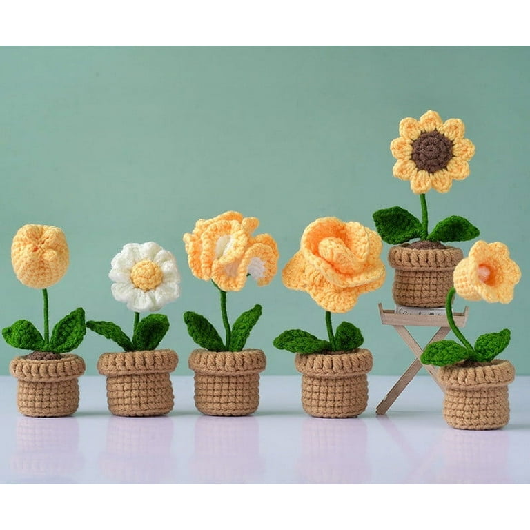 FreeNFond Crochet Kit for Beginners, Potted Plants Crochet Starter