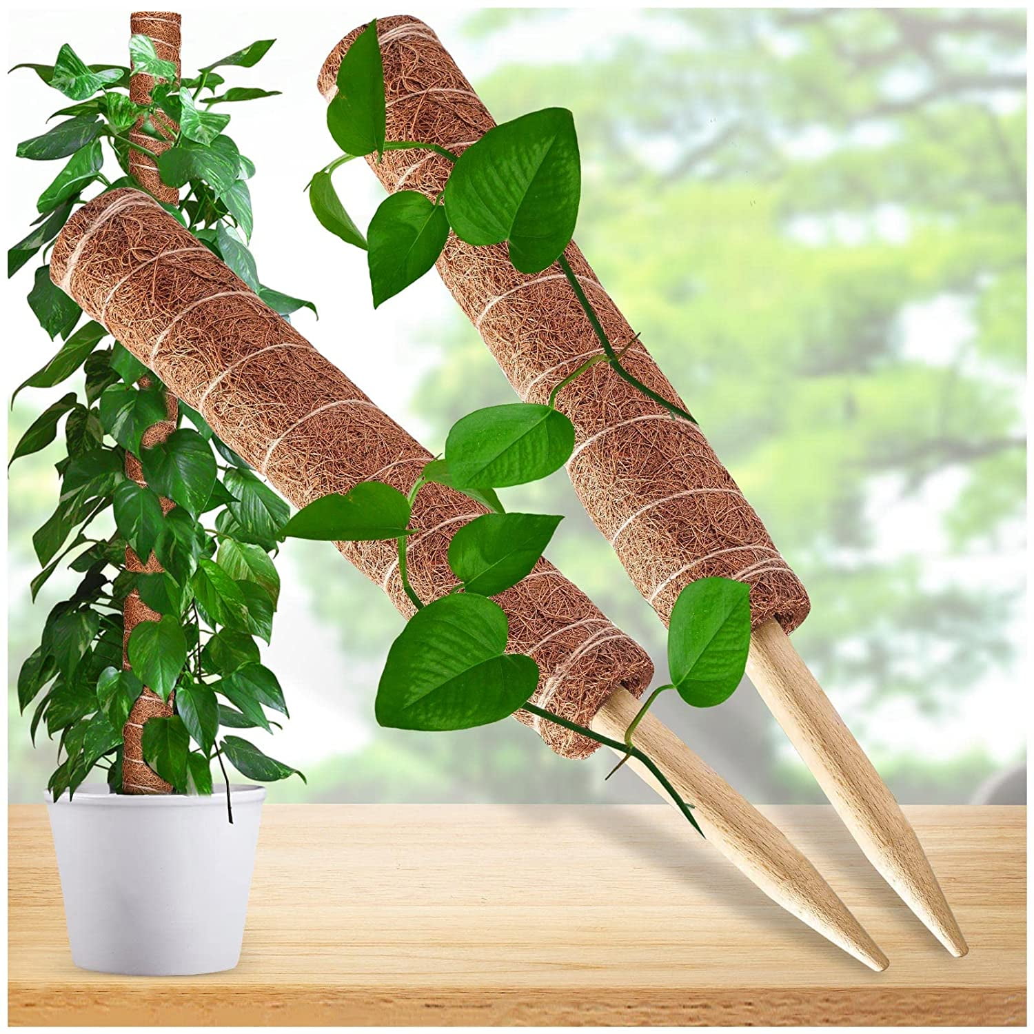 Chainplus Moss Pole for Plants Monstera, 2Pcs 31.4 Inches