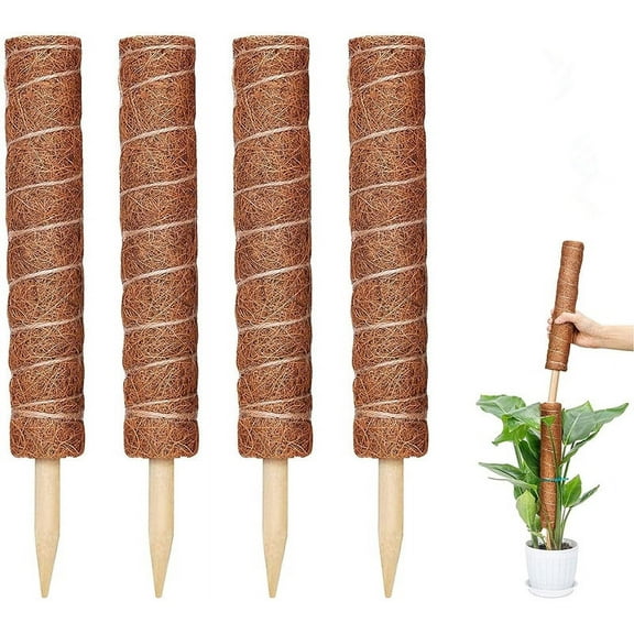 Chainplus Moss Pole for Plants Monstera, 4Pcs 62.8 Inches Sturdy Plant Support for Indoor Plants, Totem Coco Coir Pole Plant Sticks for Indoor Plants Climbing, Train Pothos Creeper Plants Grow