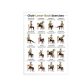 Chair Exercise Poster Seniors Lower Back Guide poster - Walmart.com