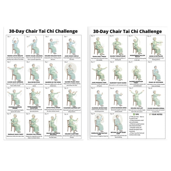 Chair Fitness Poster For Beginners And Elderly, 30 Day Tai Chi Challenge Exercise Chart, Frameless For Gym Decor
