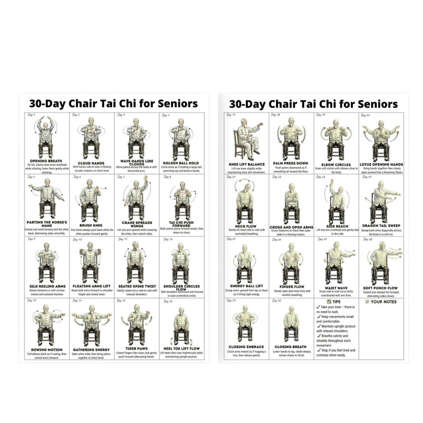 Chair Fitness Poster for Seniors, 30 Day Elderly Chair Tai Chi Workout ...