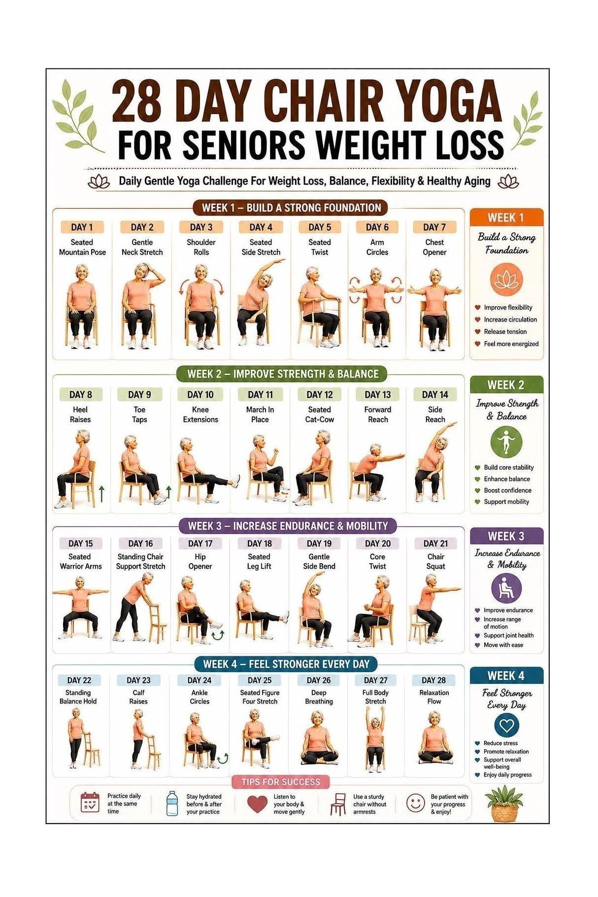 Chair Yoga Routine Poster 28 Day Senior Seated Workout poster - Walmart.com