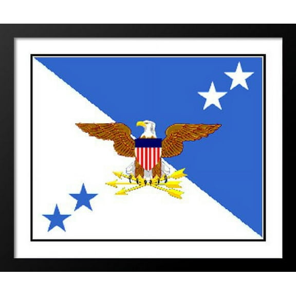Chairman of the Joint Chiefs of Staff Flag 20x23 Framed and Double Matted Photo