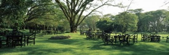 Chairs and tables in a lawn Lake Naivasha Country Club Great Rift Valley Kenya Canvas Art - Panoramic Images (36 x 12)