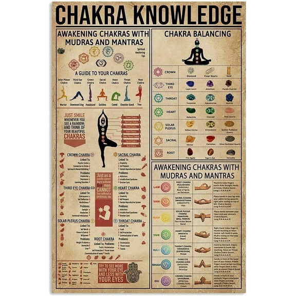 Chakra Knowledge Poster Multi Wall Dcor Art Gift for Yogaer Chart Metal Tin Sign School Signs 8x12 Inch