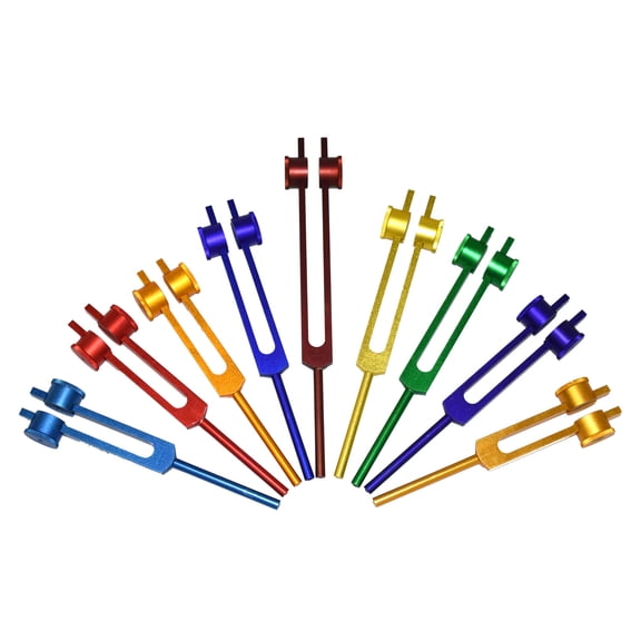 Chakra Weighted Tuning Forks Set of 9 Colored Healing Tools with Velvet