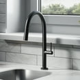 thumbnail image 1 of Chalet Single Handle, Pull-Down Kitchen Faucet in Matte Black, 1 of 11