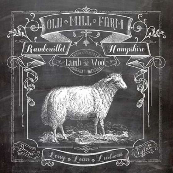 Chalkboard Sheep Canvas Art - Lynnea Washburn (24 x 24)