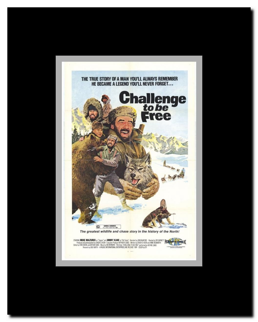 Challenge To Be Free Framed Movie Poster