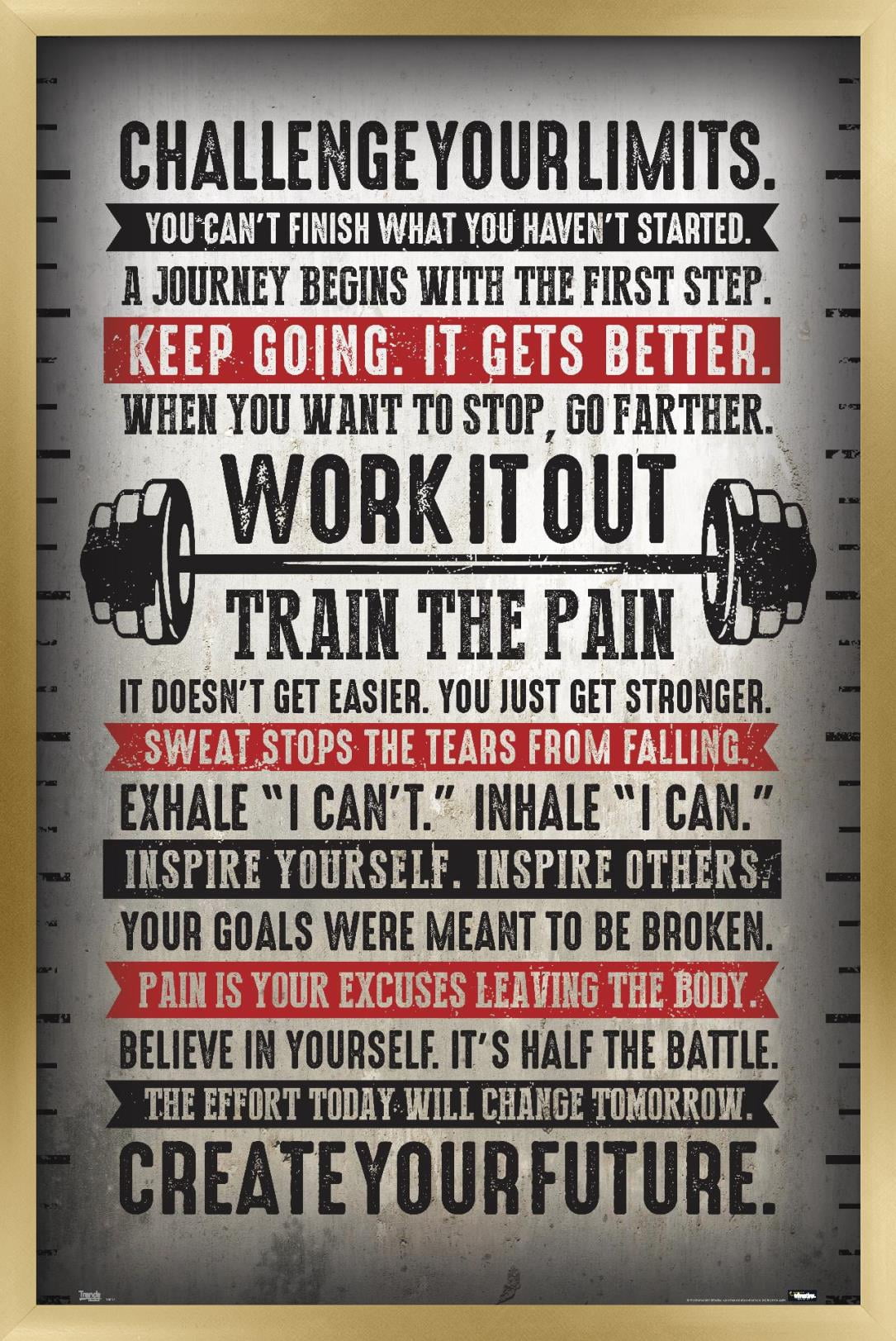 Challenge Your Limits Wall Poster, 14.725" x 22.375", Framed