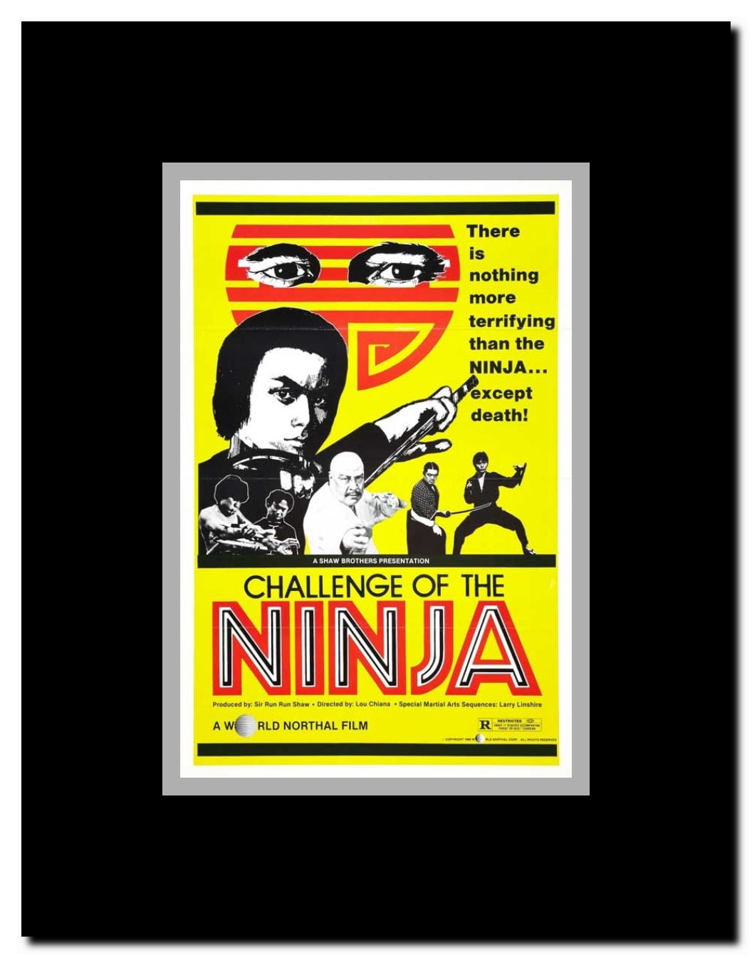 Challenge of the Ninja Framed Movie Poster