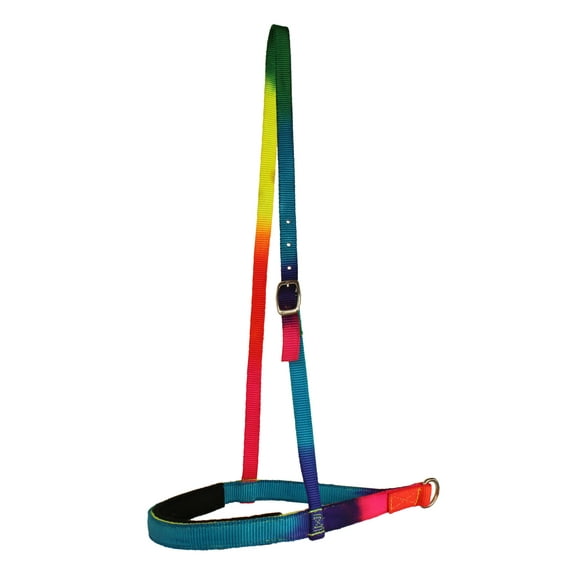 Challenger 1" Rainbow 2Ply Nylon Fleece Padded Noseband Horse Tack 99109