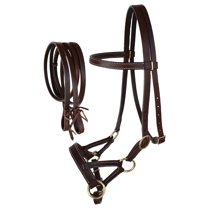 Bride Western Sans Mors En Cuir Challenger – Taille Cheval, Neuve, Motif Tournesol