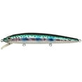 thumbnail image 1 of Challenger Minnow - 4 1/2 - 3/8oz, 1 of 1