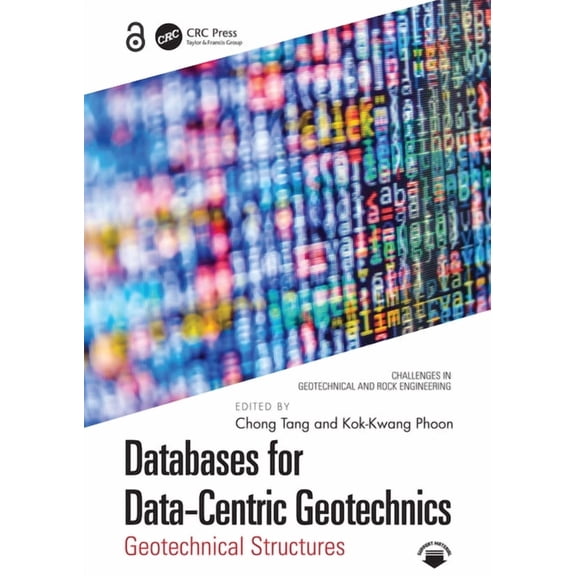 Challenges in Geotechnical and Rock Engi Databases for Data-Centric Geotechnics: Geotechnical Structures, (Paperback)