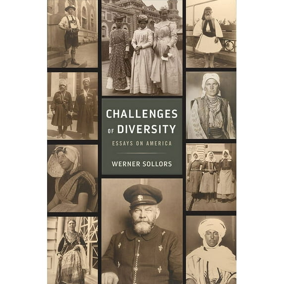 Challenges of Diversity : Essays on America (Paperback)