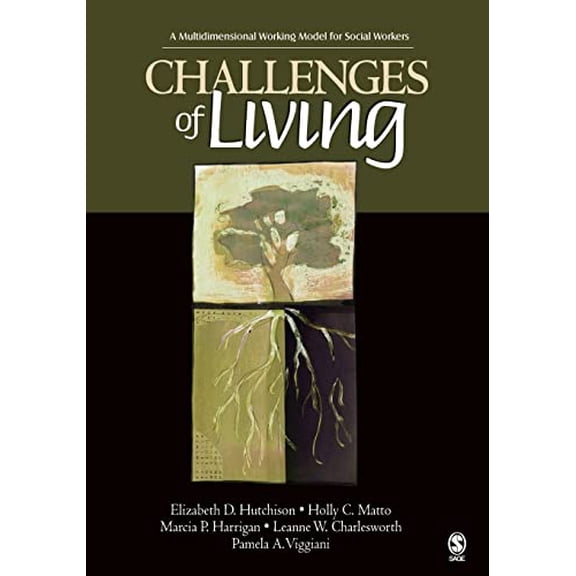 Pre-Owned Challenges of Living: A Multidimensional Working Model for Social Workers Paperback