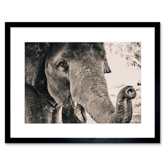 Chambon Elephant Close-up Trunk Framed Wall Art Print