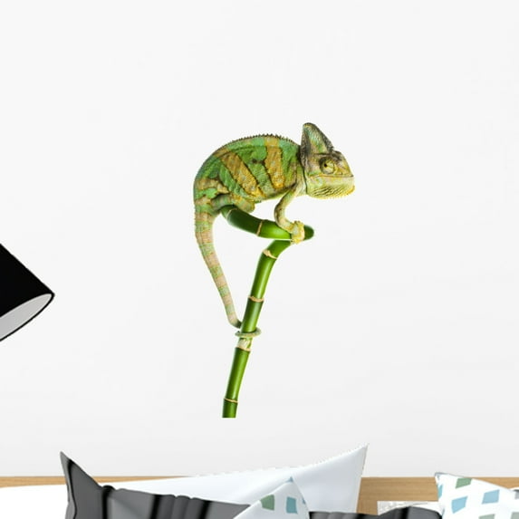 Chameleon Bamboo Wall Decal by Wallmonkeys Peel and Stick Graphic (18 in H x 10 in W) WM273609