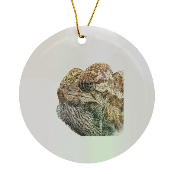 3drose, Chameleon with Sinister Facial Expression Vector Art Cut Out, Circle Porcelain Ornament