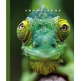 thumbnail image 1 of Pre-Owned Chameleons (Library Binding) 1592965431 9781592965434, 1 of 1