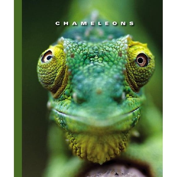 Pre-Owned Chameleons (Library Binding) 1592965431 9781592965434