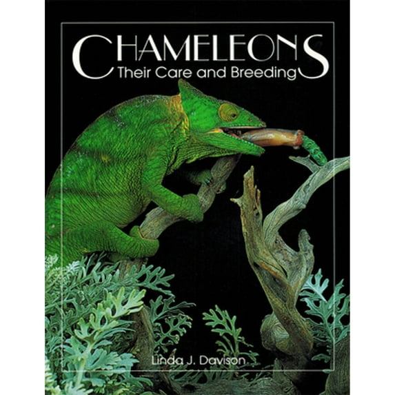 Pre-Owned Chameleons: Their Care and Breeding (Paperback) 0888393539 9780888393531