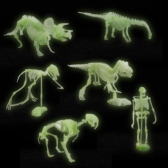 Chamoist Educational Toys,Montessori Learning Toys,6Pcs Noctilucent Dinosaur Human Skeleton Model Assembly Skull Toy Bones Decor