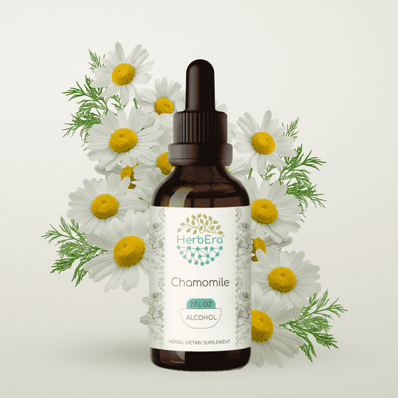 HerbEra Chamomile Tincture, Herbal Dietary Supplement for Digestive Support, Chamomile (Matricaria recutita) Dried Flower Extract, Natural, Alcohol Tincture, Drops 2 oz