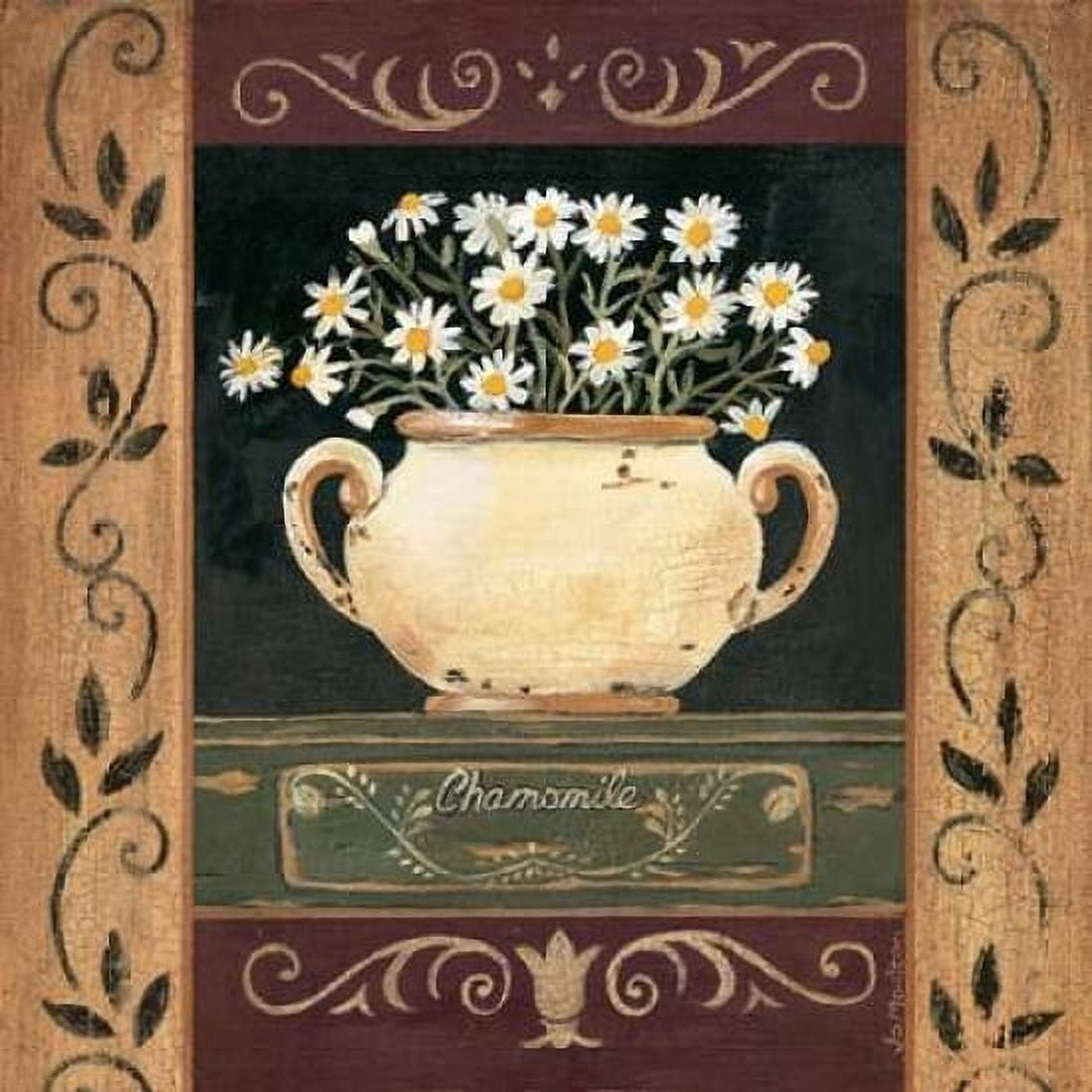 Chamomile Canvas Art - Jo Moulton (24 x 24)