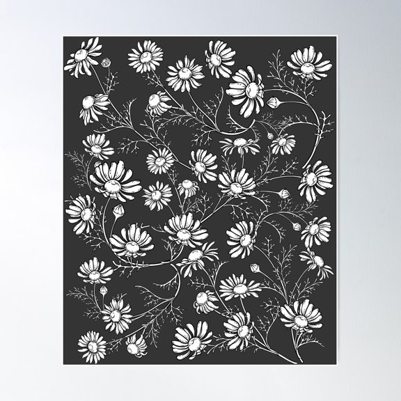 Chamomile Field Poster Wall Art, Modern Wall Decor For Living Room Bedroom, 12x18 UNFRAMED