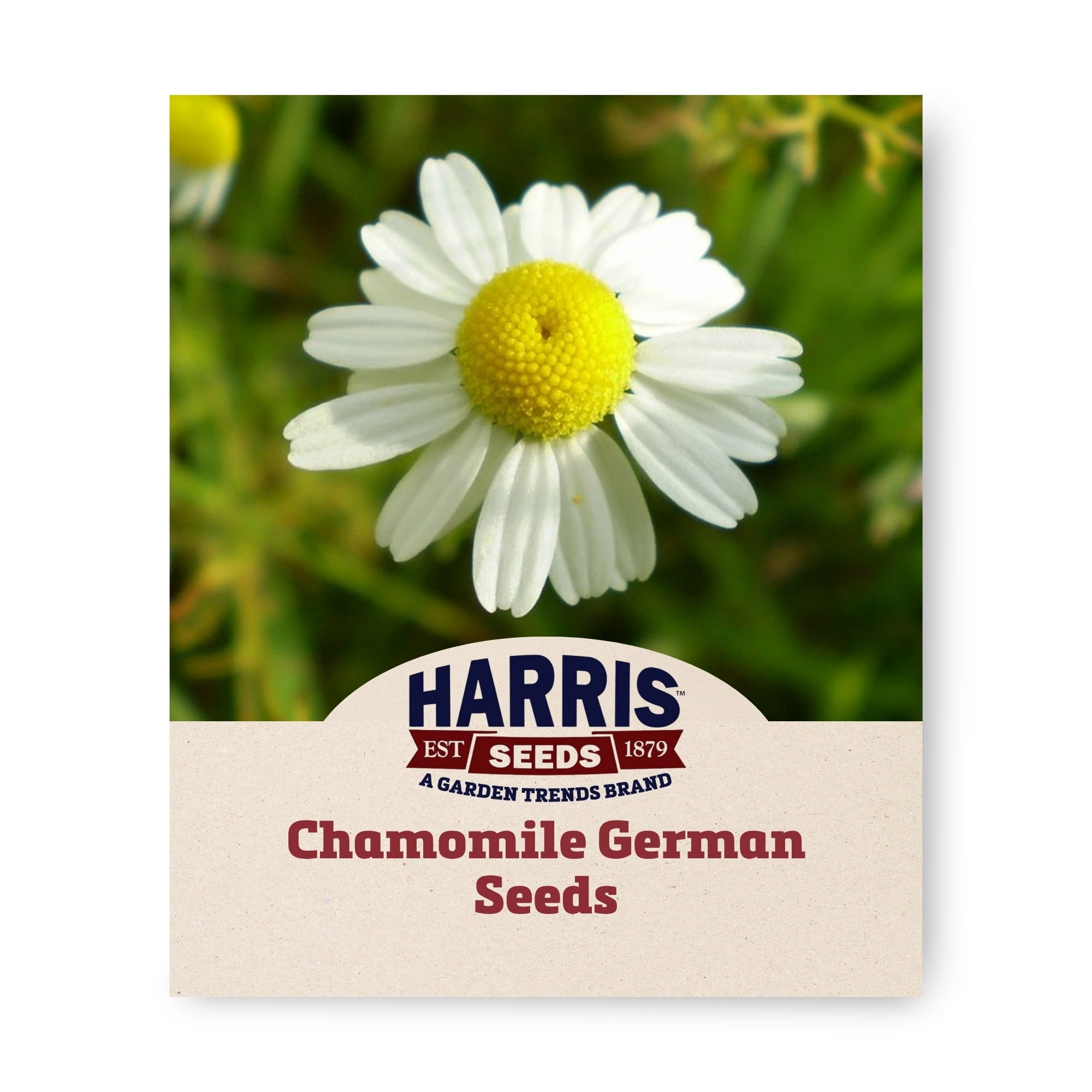 Harris Seeds German Chamomile