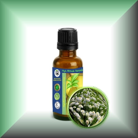 Chamomile (Roman, Anthemis Nobilis) Essential Oil