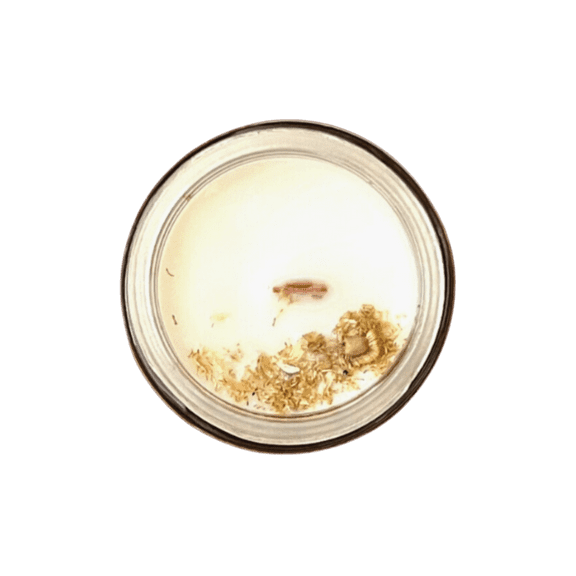 'Chamomile Rose' Wooden Wick - Soy Candle