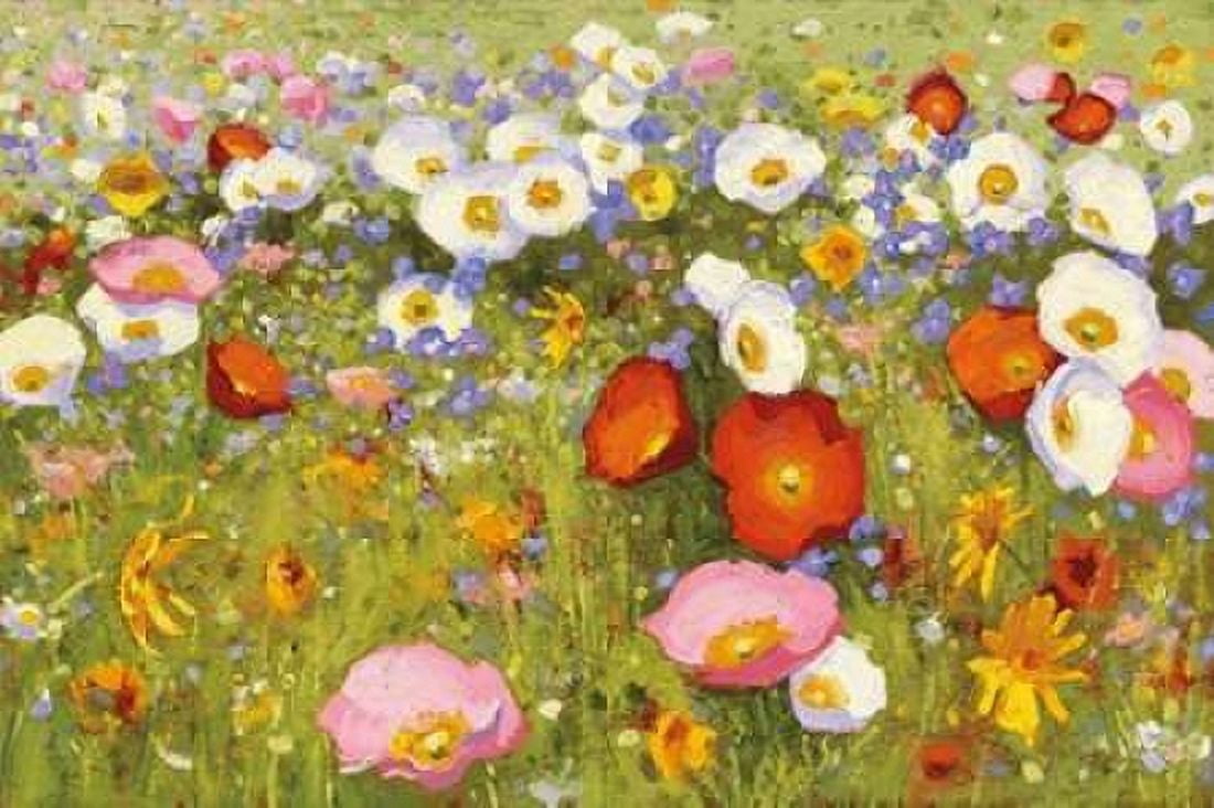 Champ de Fleur III Canvas Art - Shirley Novak (12 x 18)