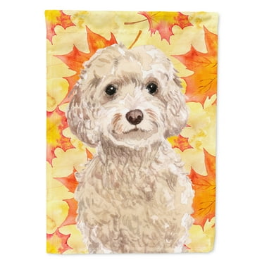 Champagne Cockapoo Fall House Flag