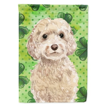Champagne Cockapoo St. Patricks House Flag