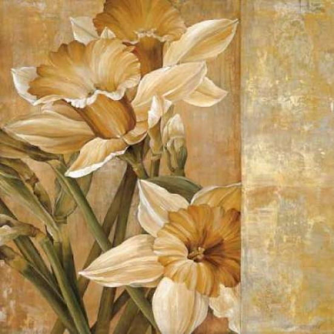 Champagne Daffodils I Canvas Art - Linda Thompson (24 x 24)