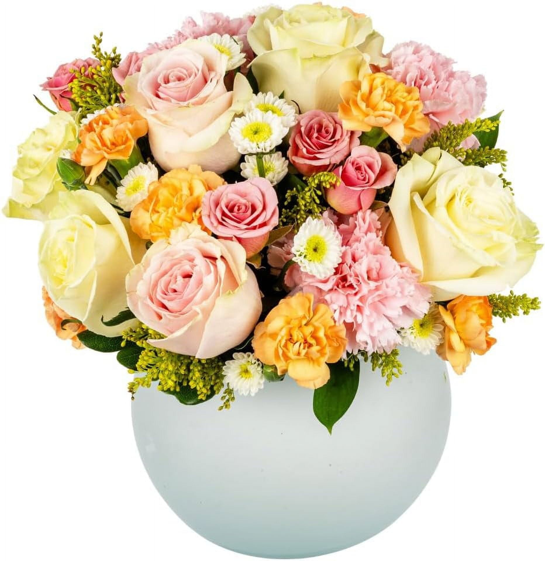 Champagne Dreams by Arabella Bouquets Bi-Color Orange Roses with Vase Shipped in Water, Flowering
