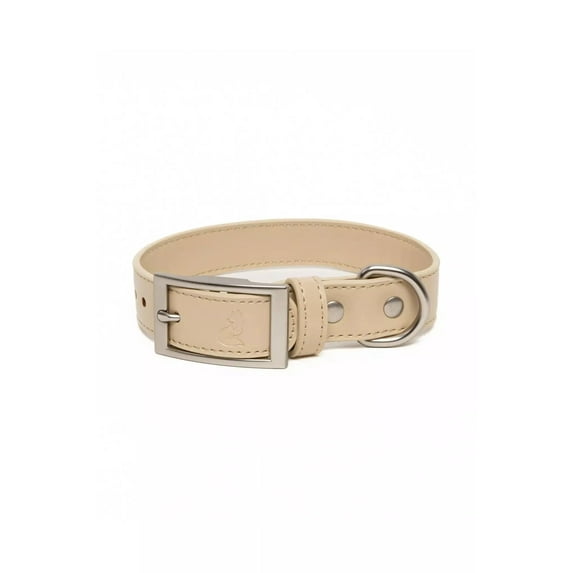 Aria the Fox Vegan Leather Dog Collar, Beige, 15 - 19 inch, Champagne Fizz Collection
