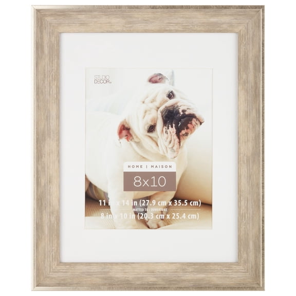 Studio Decor Champagne Frame with Mat